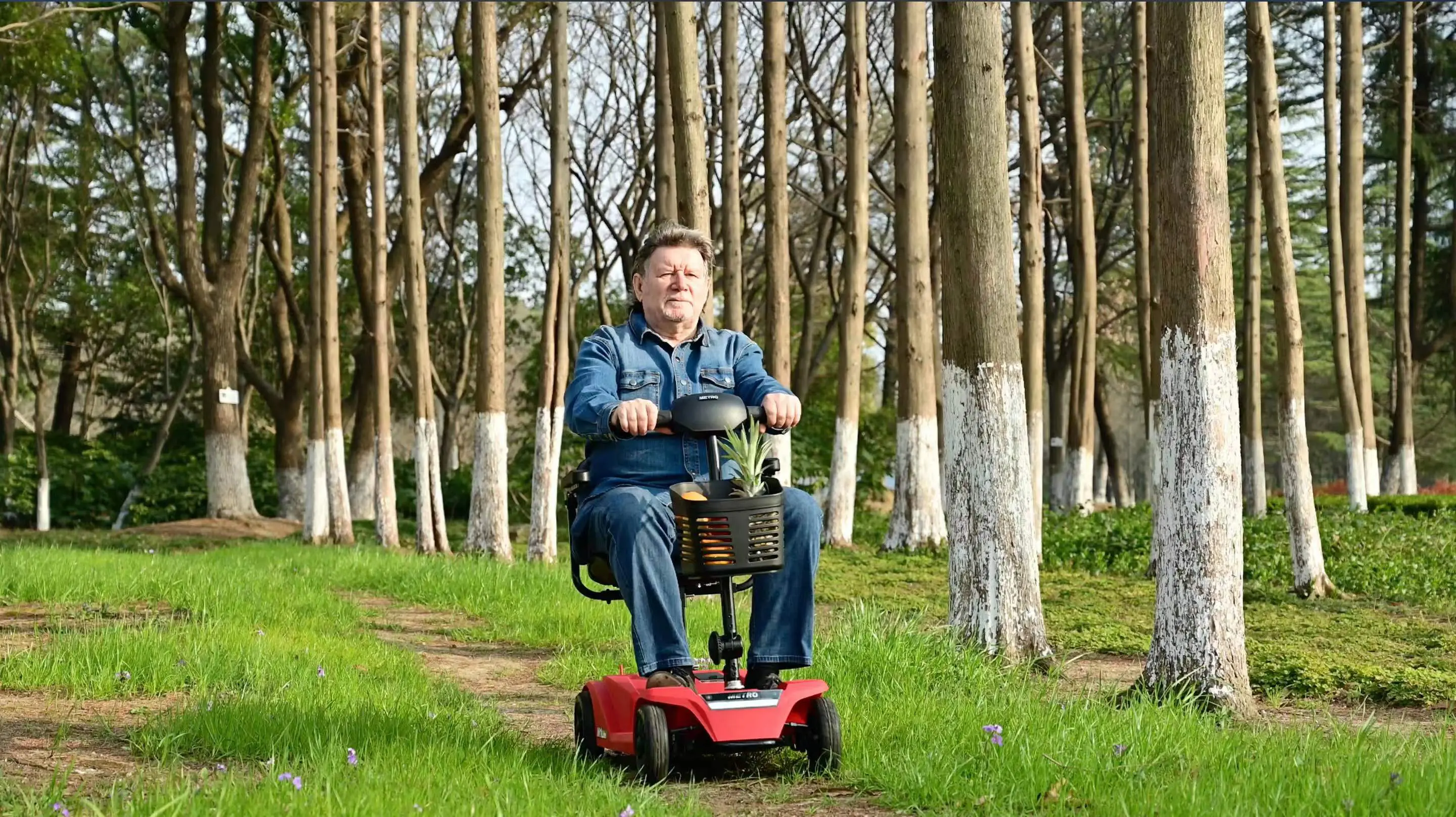 Man riding a mobility scooter through a wooded area.