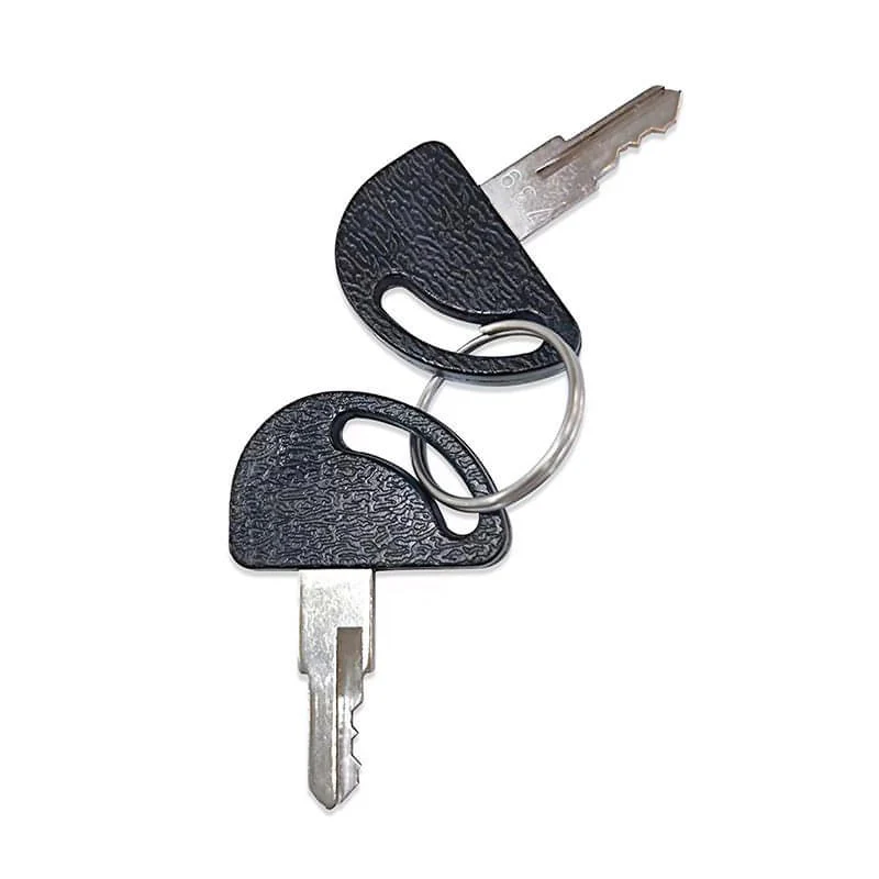Two keys with black plastic heads attached by a small ring.